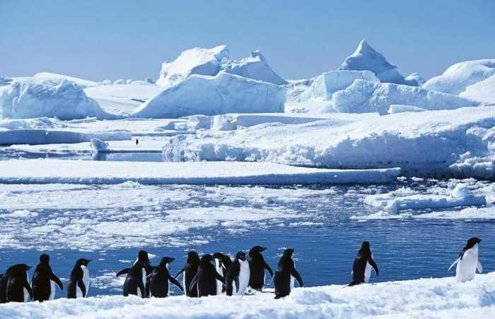 南极洲最大岛屿：亚历山大岛4.9万平方公里，常年与南极大陆相连